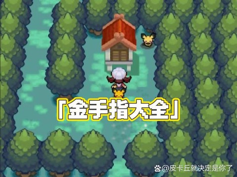 口袋妖怪钻石怎么用金手指[图2]