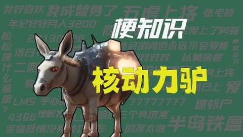 怪物猎人电驴子是什么