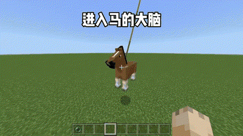 我的世界怎么给马喂食