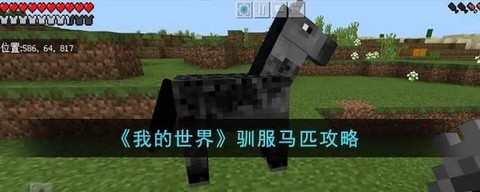 我的世界怎么给马喂食[图2]