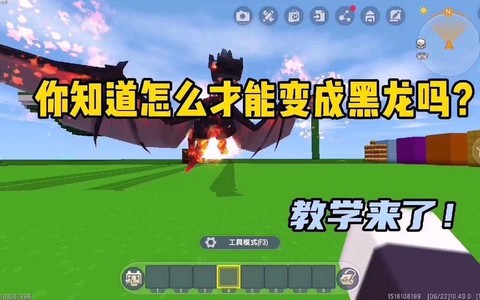 迷你世界怎么见到黑龙