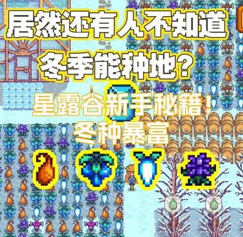 星露谷物语怎么暴富[图2]